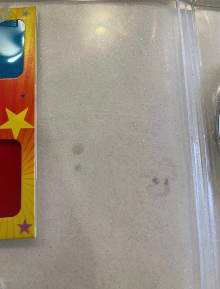 DVD Barbie et le cheval magique - photo numéro 6