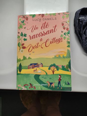 Roman - Un été ravissant à Vert-Cottage