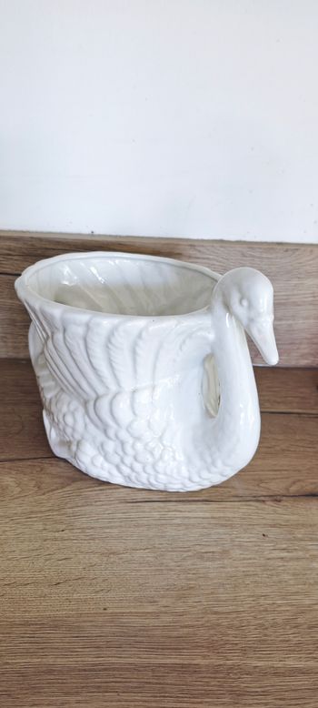 Cygne