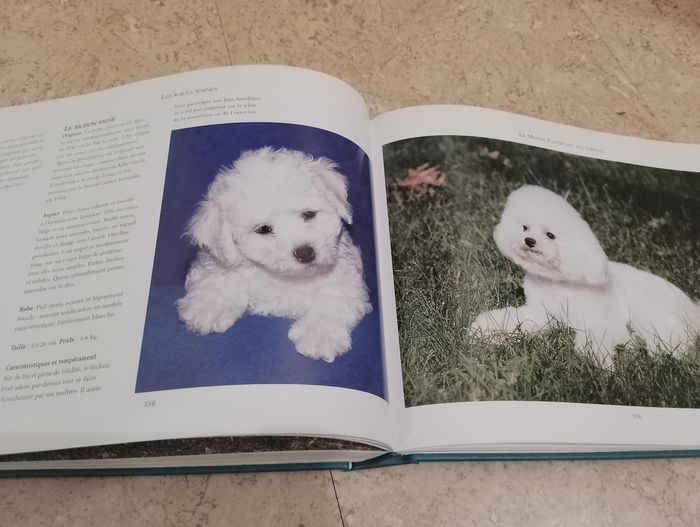 Encyclopédie des chiens - photo numéro 7
