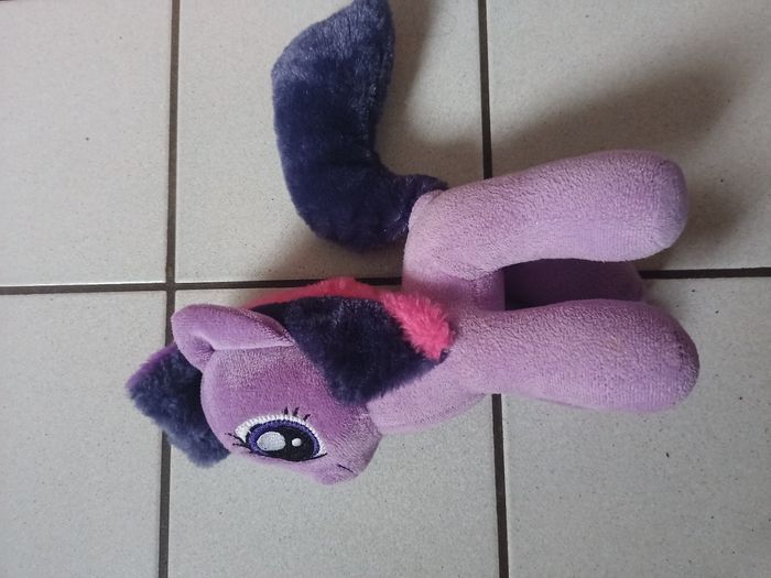 Poney - photo numéro 2