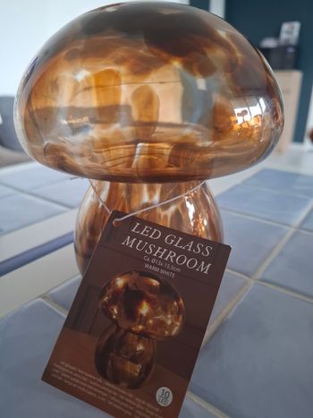 Champignon sombre LED