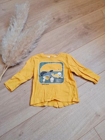 Pull Obaibi