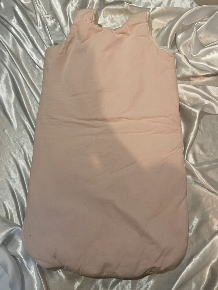 Gigoteuse souris - photo numéro 2