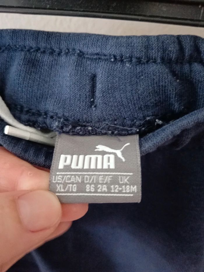 Jogging puma - photo numéro 4
