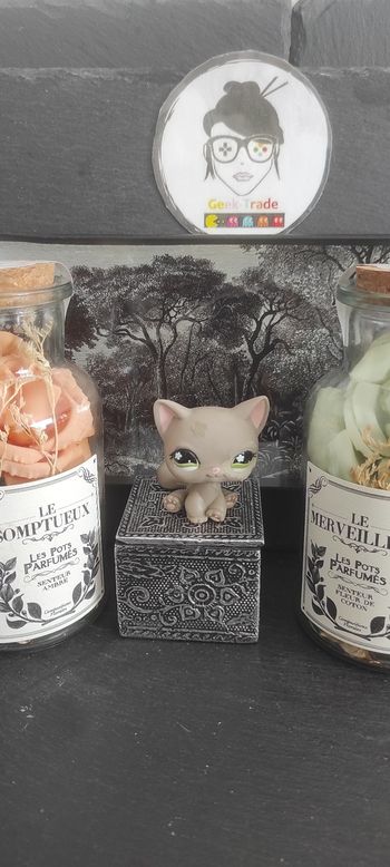 Littlest Petshop Pet Shop LPS Authentic  Authentique cat Shorthair 467 Siamese