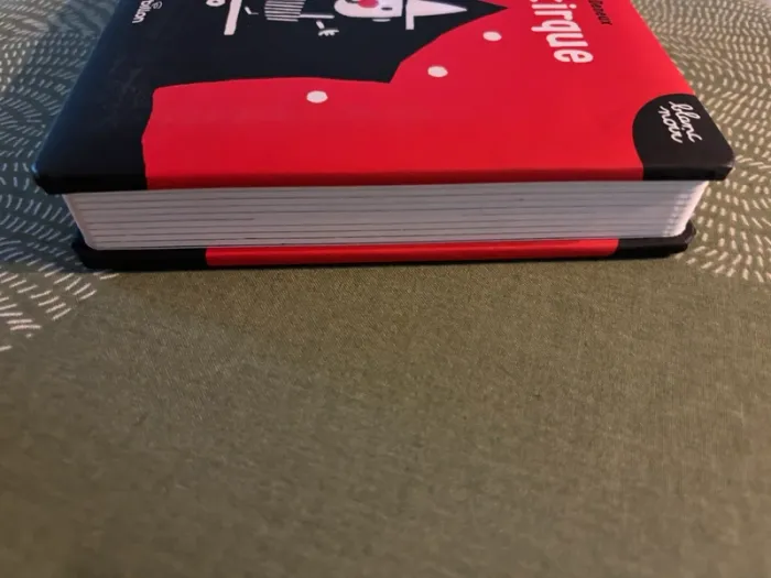 Livre mon cirque - photo numéro 2