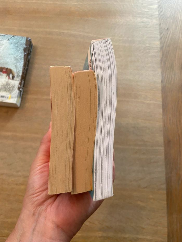 Tomes 1, 2 et 3 « Journal d’une peste » Virginie Sam & M.A. Abesdris - photo numéro 12