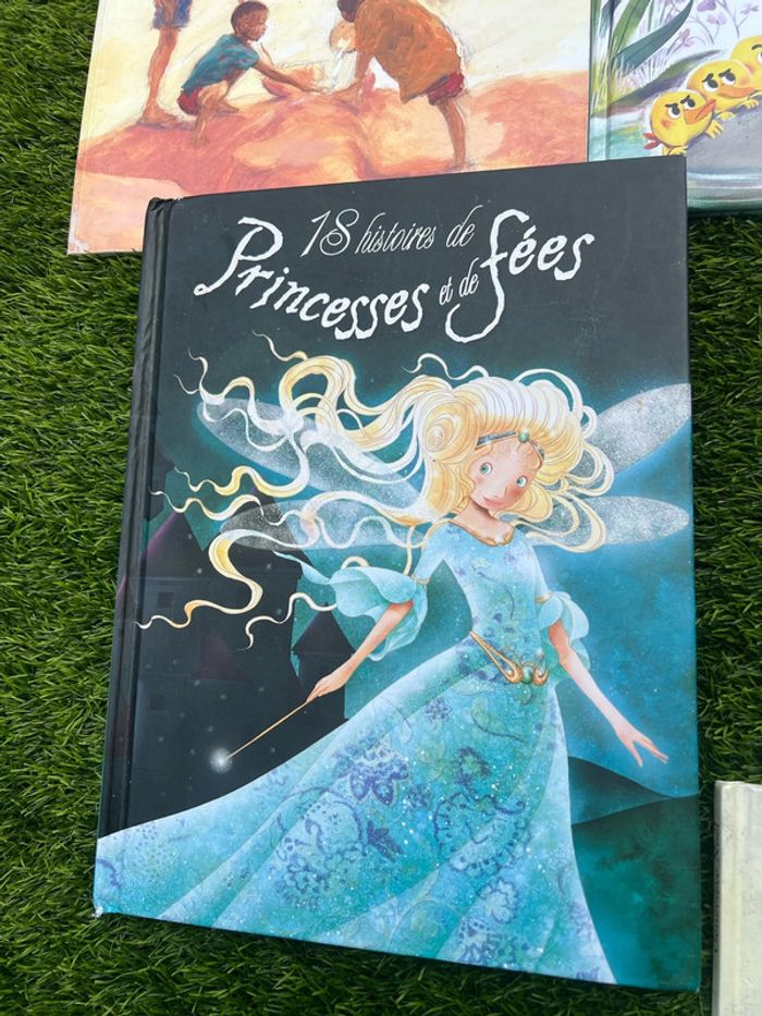 Gros lot de livres divers ( pas de vinted go ) - photo numéro 11