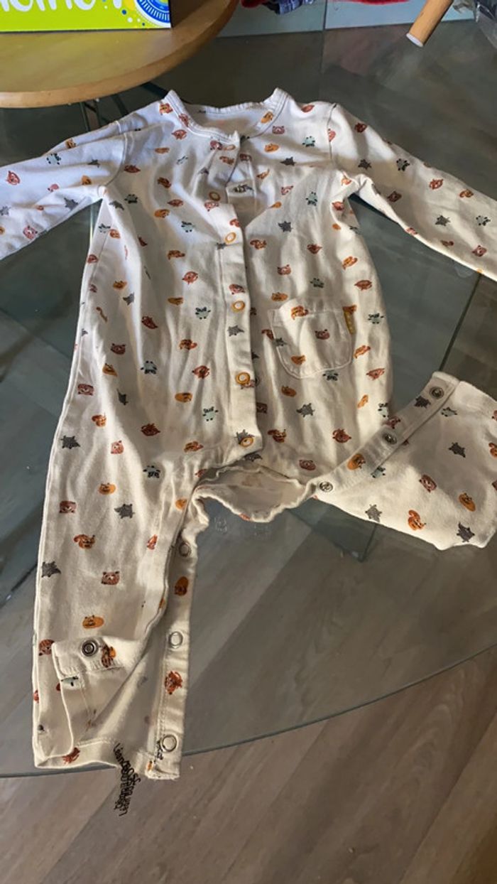 Grenouillère - photo numéro 3