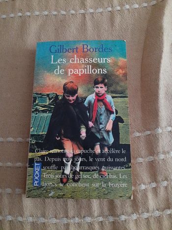 Les chasseurs de papillons