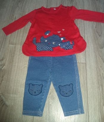 Ensemble chats 6 mois