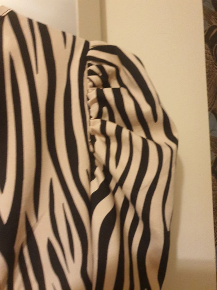 Robe motif zèbre - photo numéro 5
