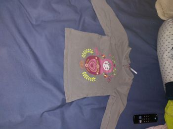 Lot sous pull manches longues 18 mois