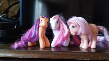 Lot de Trois Poney G3 et G1