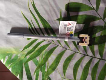 Crayon minecraft