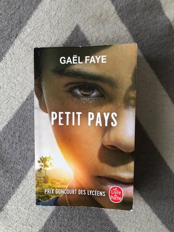 Livre Gaël faye le petit pays