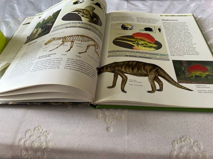 Livre le savoir compact. Les dinosaures - photo numéro 3