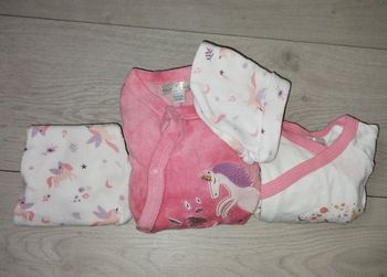 Ensemble licorne