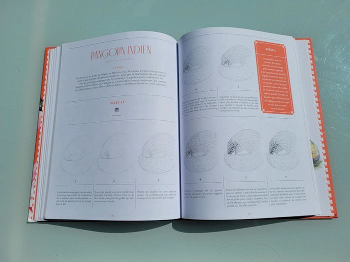 Livre 30 espèces à dessiner en pas-à-pas 🦩 Animaux à sauver 🦒 Beaux-Arts pour la terre (72) - photo numéro 8
