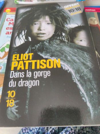 Livre dans la gorge du dragon