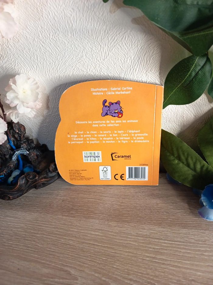 Misti le chat 🐈 bon état - photo numéro 3