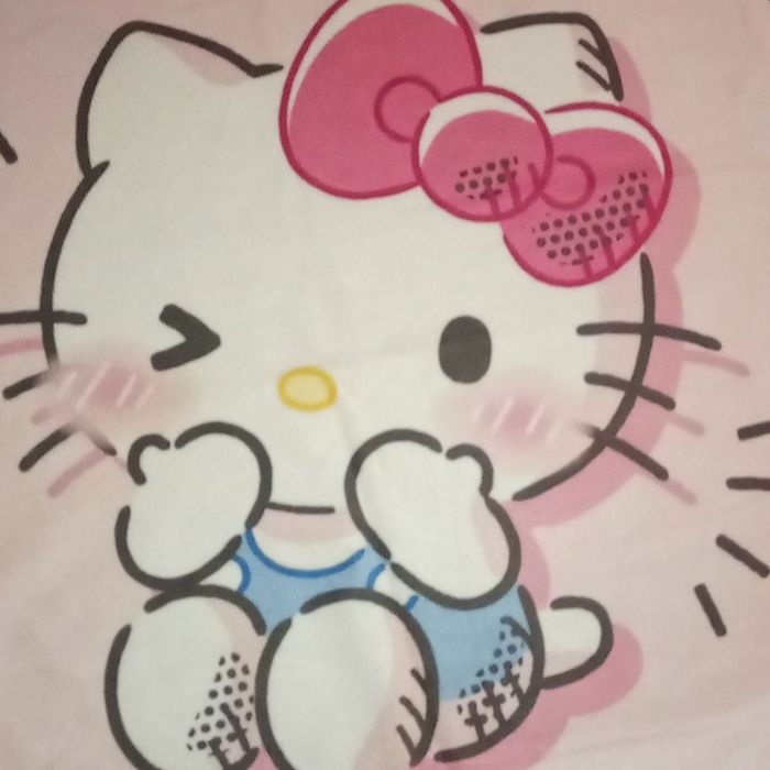 Housse de coussin hello Kitty - photo numéro 2