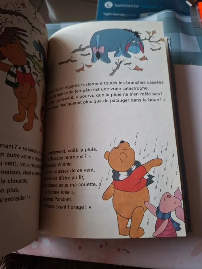 Winnie l'ourson dans la tempête - photo numéro 5