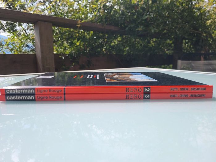 2 BD Nero EO, tomes 2 et 3 : Le Disciple et Arkhangelk - photo numéro 16