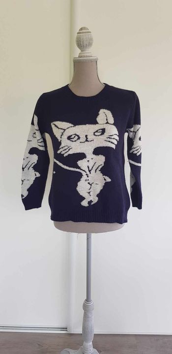 Pull chat chaud et doux