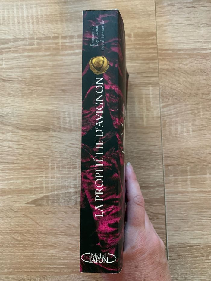 La prophétie d’Avignon - photo numéro 3