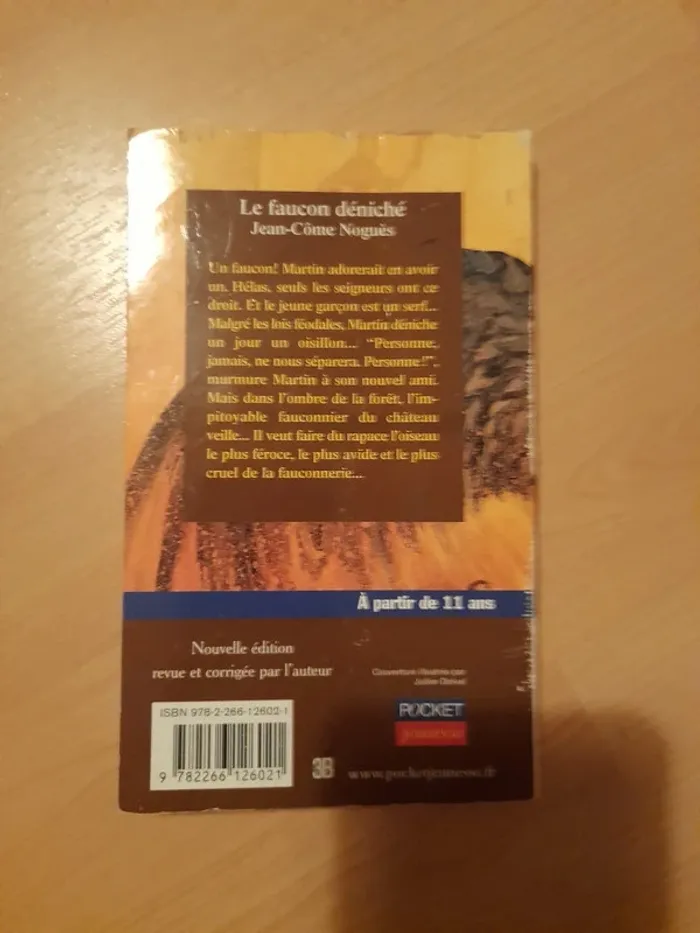 Le Faucon Déniché - Jean-Côme Noguès (Pocket Jeunesse) - photo numéro 2