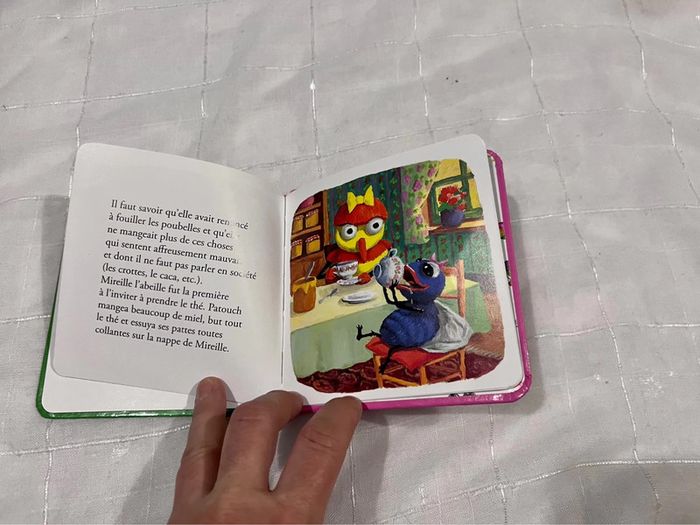 Livre enfant Patouche la mouche - photo numéro 3