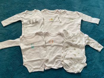 Lot  bodies