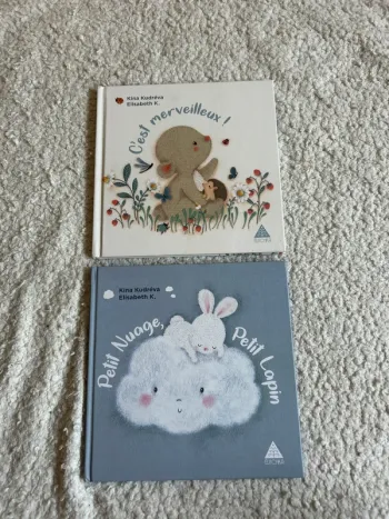 Lot de deux albums