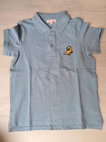 Polo dinosaure