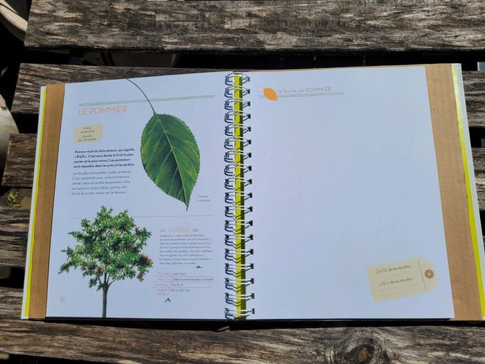 Très bel herbier Milan : L'Herbier des feuilles 🍃 72 - photo numéro 8