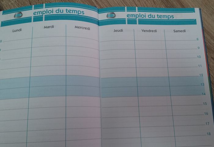 cahier de textes Les Minions - photo numéro 3