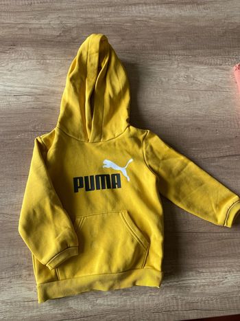 Pull puma