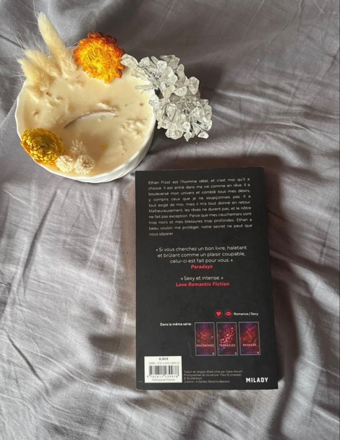 Livre Dévastée « Saga Ethan Frost » Tome 1 - photo numéro 2