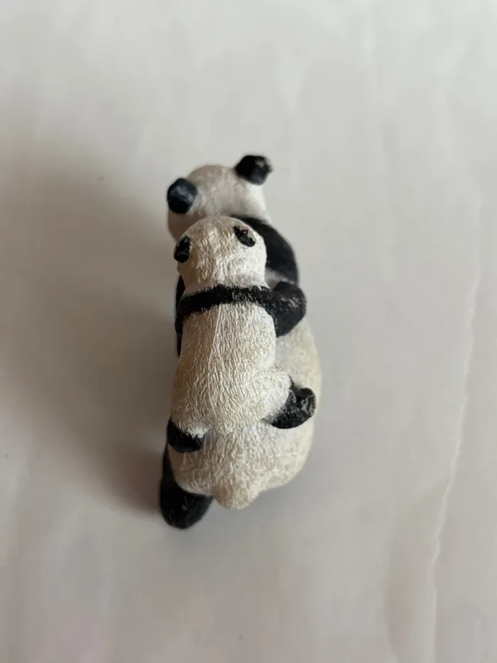 Panda papo - photo numéro 4