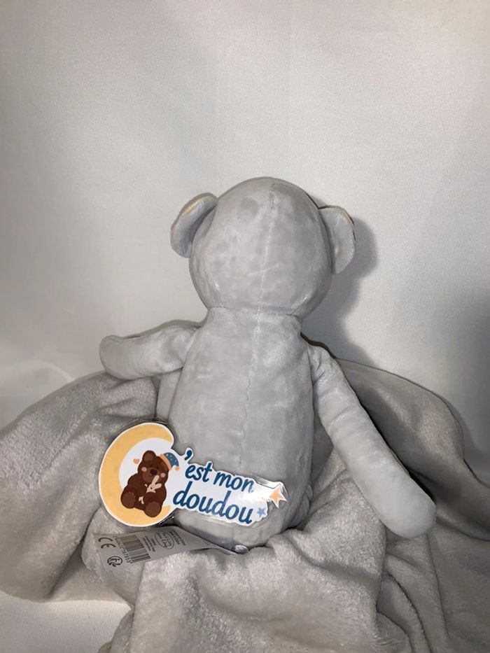 TK01 doudou ours Tom & kiddy - photo numéro 2