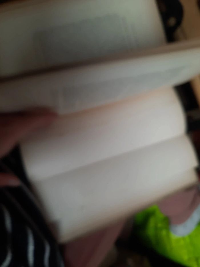 Mes promenades à Versailles et dans ses environs p h - photo numéro 12