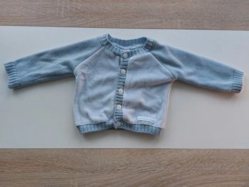 Gilet petit bateau
