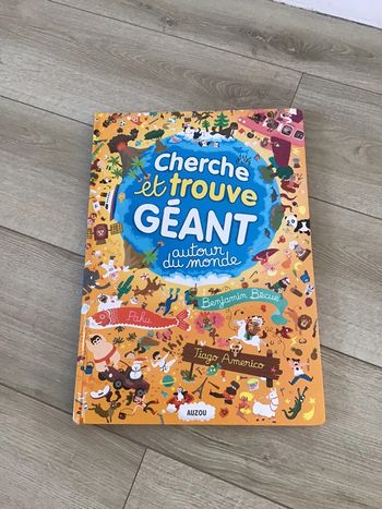 Grand livre (cherche et trouve géant)