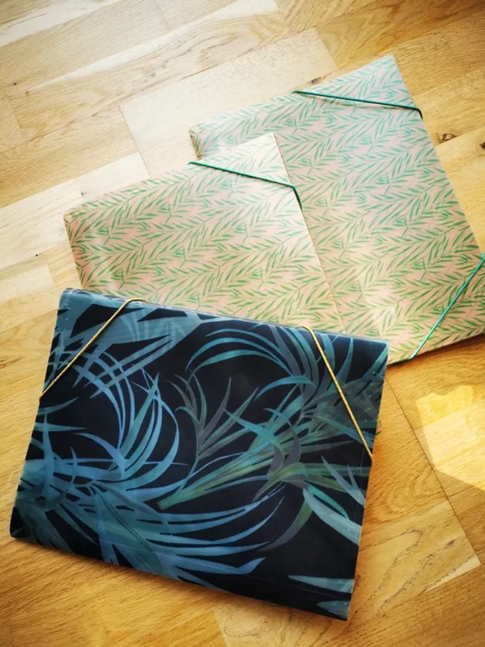 Lot de 3 porte documents / trieurs