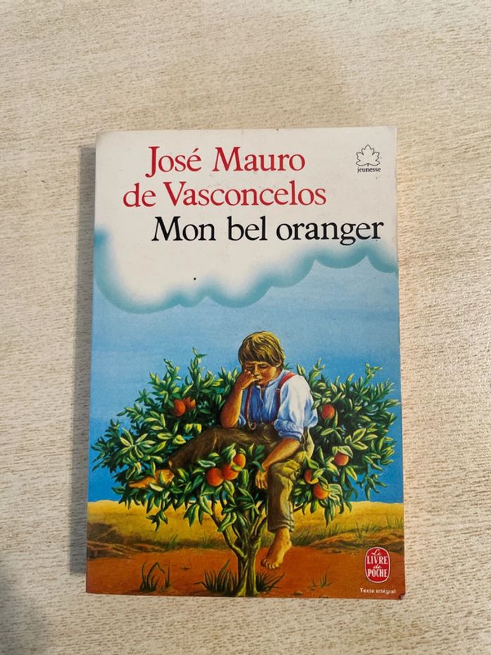 Livre de poche mon bel oranger jose mauro de vasconcelos