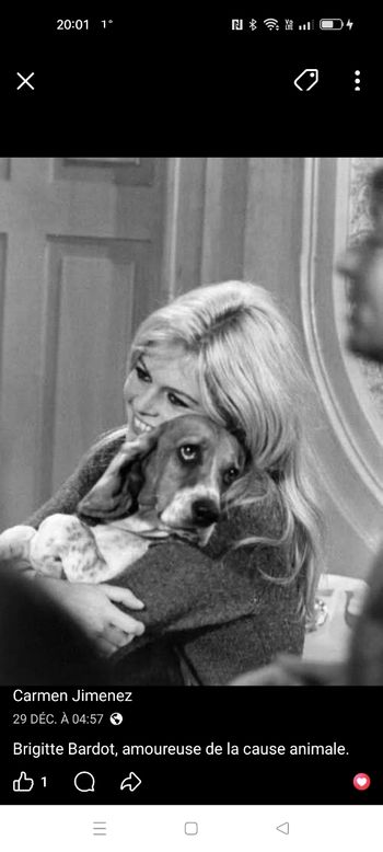 Cadre Brigitte bardot