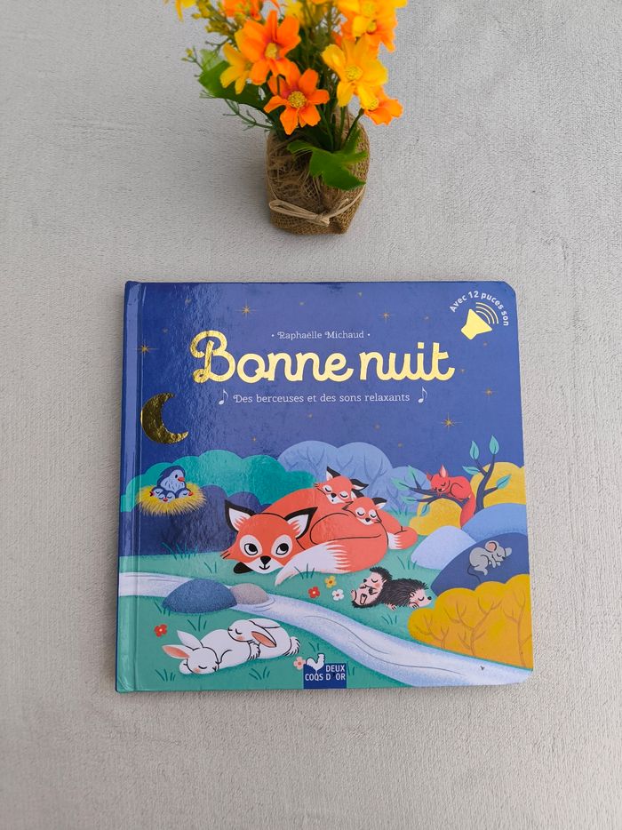 Livre musical Bonne nuit