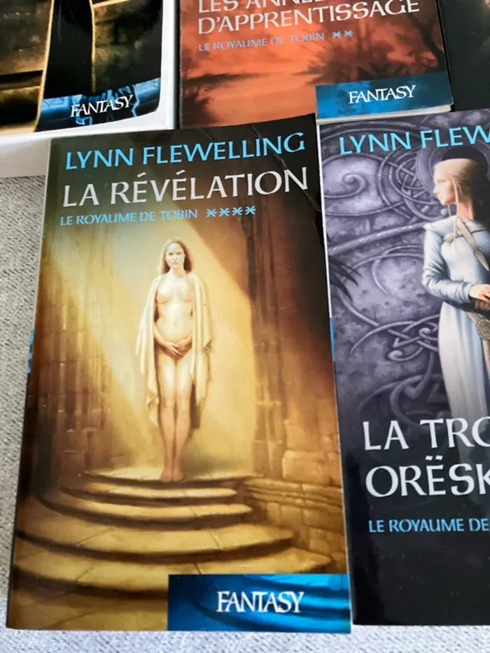 Lot complet – Le Royaume de Tobin de Lynn Flewelling (Tomes 1 à 5) - photo numéro 5
